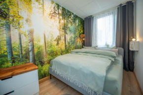 Ferienwohnung im Zentrum von Eisenach